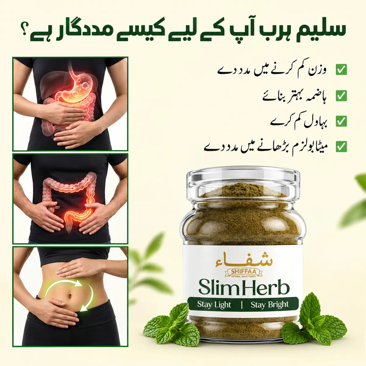 Instant Weight Loss Bundle By Shiffaa