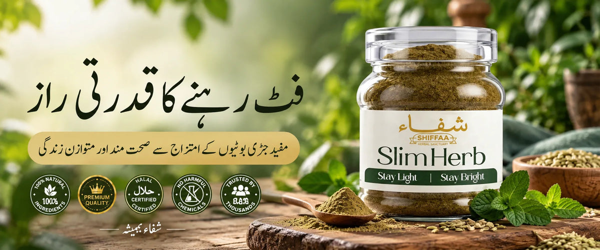 The Shiffaa banner